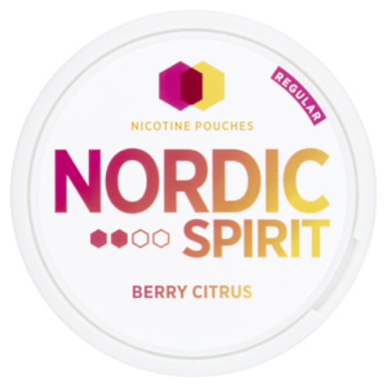 Picture of Nordic Spirit Berry Citrus Pouch Regular 20s x5